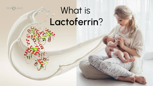 What is Lactoferrin?